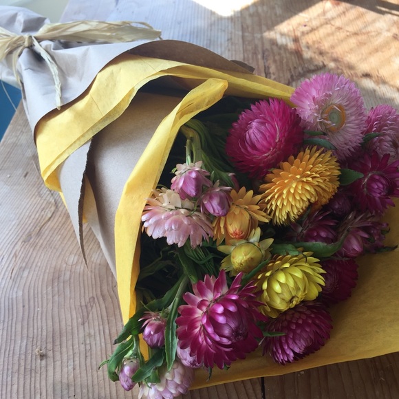 Meet your Posher, Ally - Picture 1 of 2